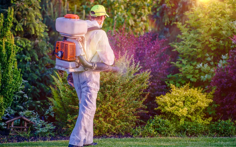 Pest control worker spraying garden with equipment
