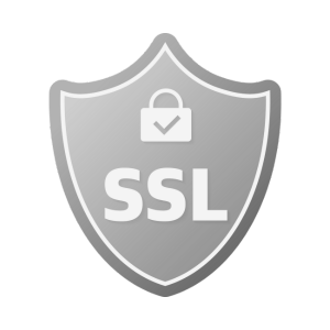SSL certificate icon, secure connection symbol